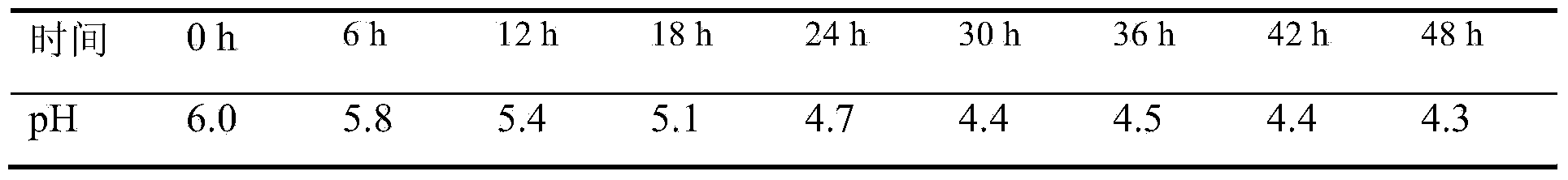 Lactobacillus hilgardii and application thereof