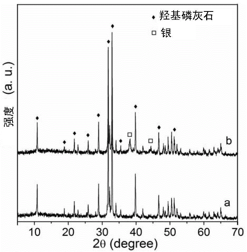 Nano-silver compounded hydroxyapatite super-long nanowire antibacterial paper