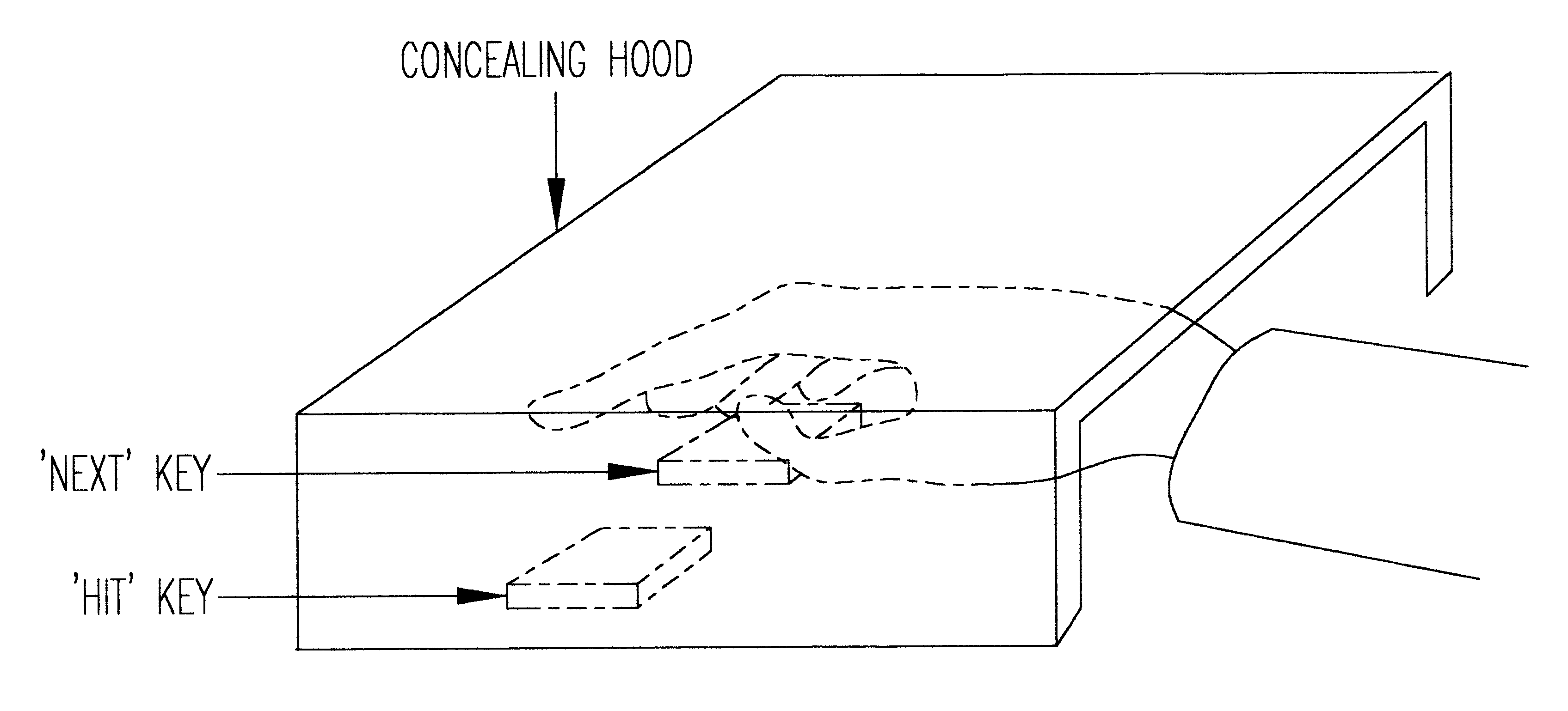 Method for non-disclosing password entry