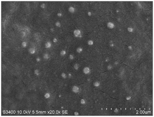 Method for forming strong antibacterial layer on surface of polylactic acid