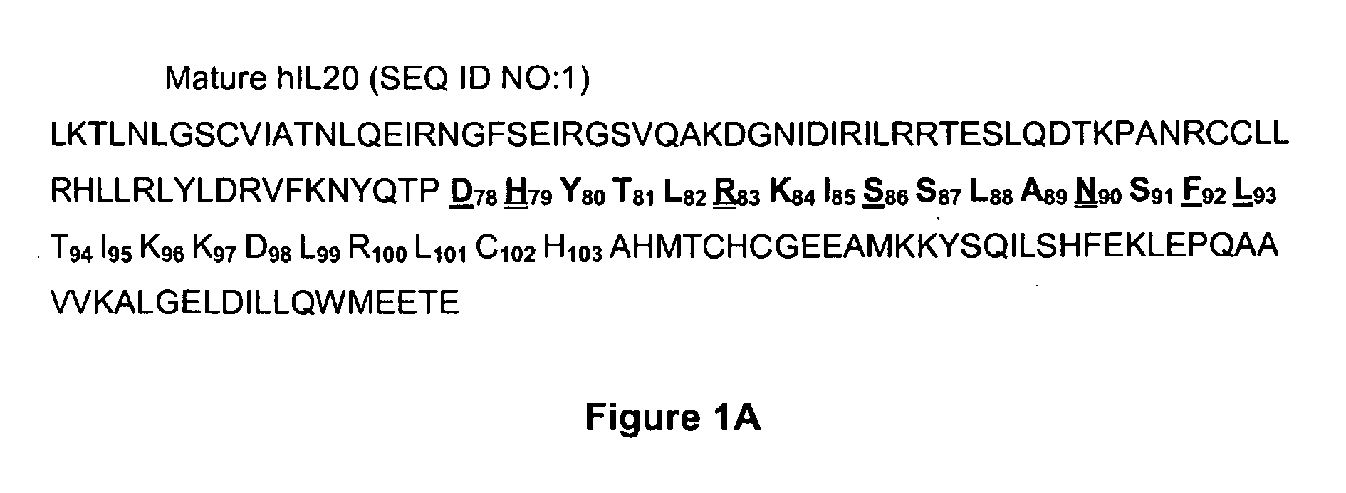 Anti-Human Interleukin-20 Antibodies