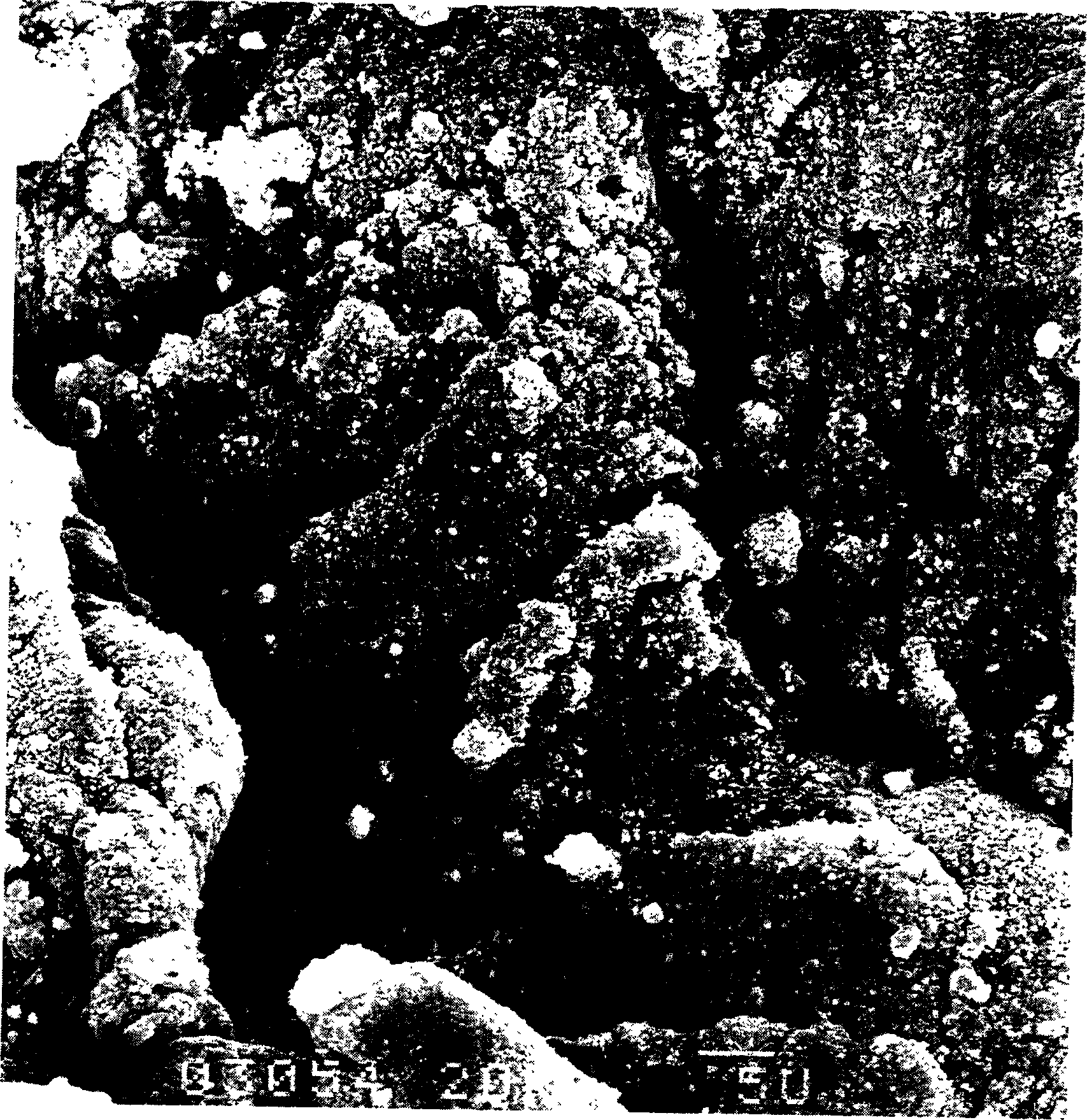 Composite of modified road asphalt by microwave radiating old rubber powder and its preparation process