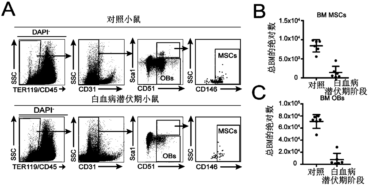 Method for rebuilding marrow microenvironment