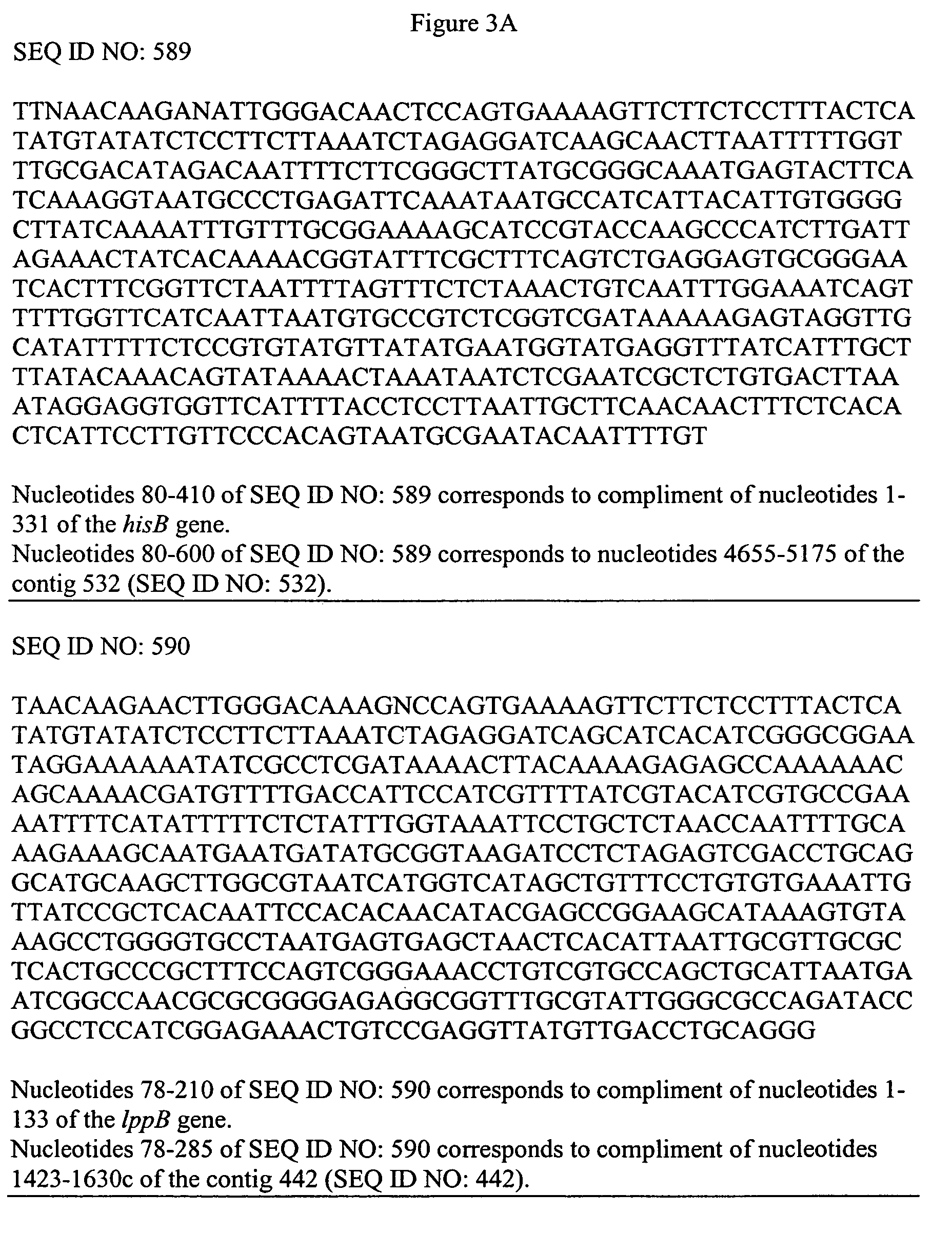 Polypeptide encoded by a nucleotide sequence of a nontypeable strain of <i>Haemophilus influenzae </i>genome