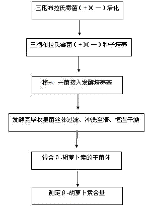 Method for preparing beta-carotene through fermentation of Blakeslea trispora