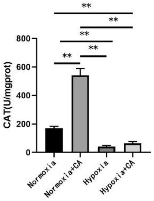 Additive for adjusting heart function of animal in high altitude area