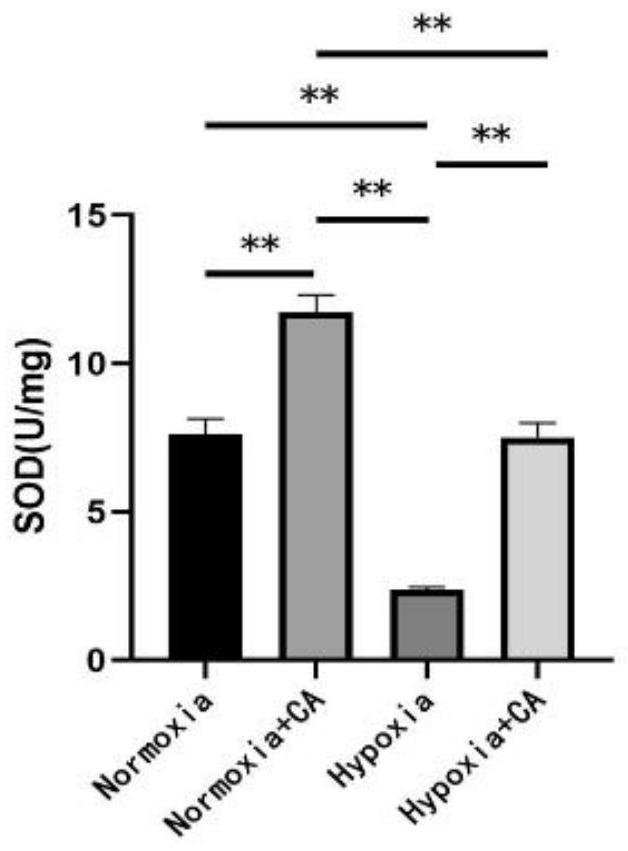 Additive for adjusting heart function of animal in high altitude area