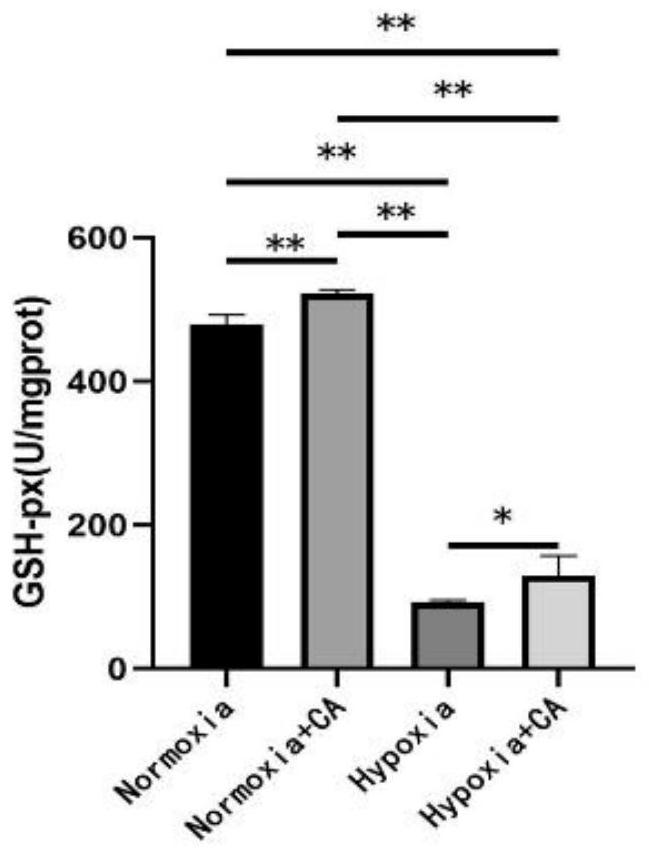 Additive for adjusting heart function of animal in high altitude area