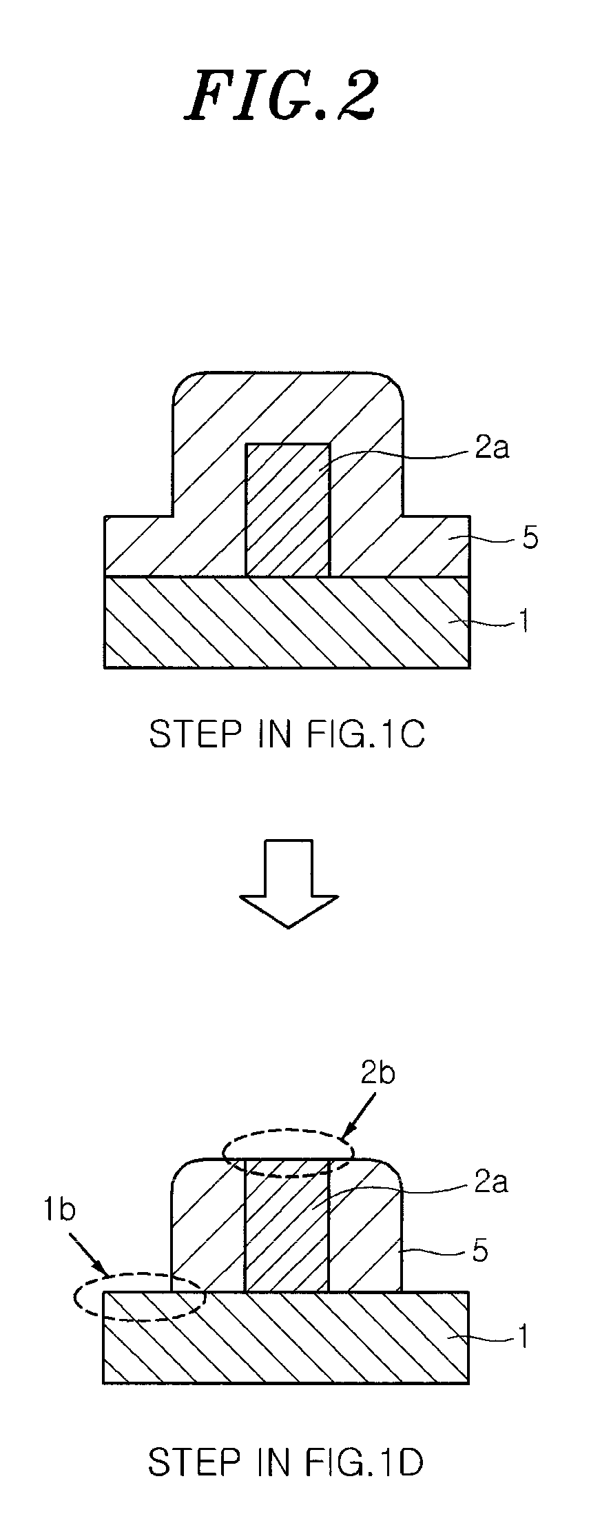 Etching method and apparatus