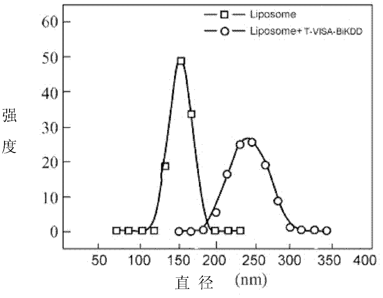 Medicine for eliminating breast cancer cells with high efficiency and high specificity