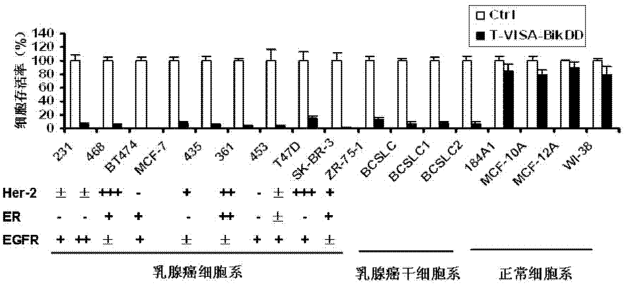 Medicine for eliminating breast cancer cells with high efficiency and high specificity