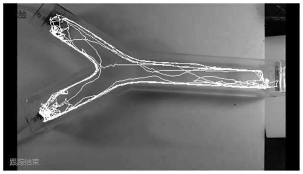 Behavior parameter determination method for moving animals