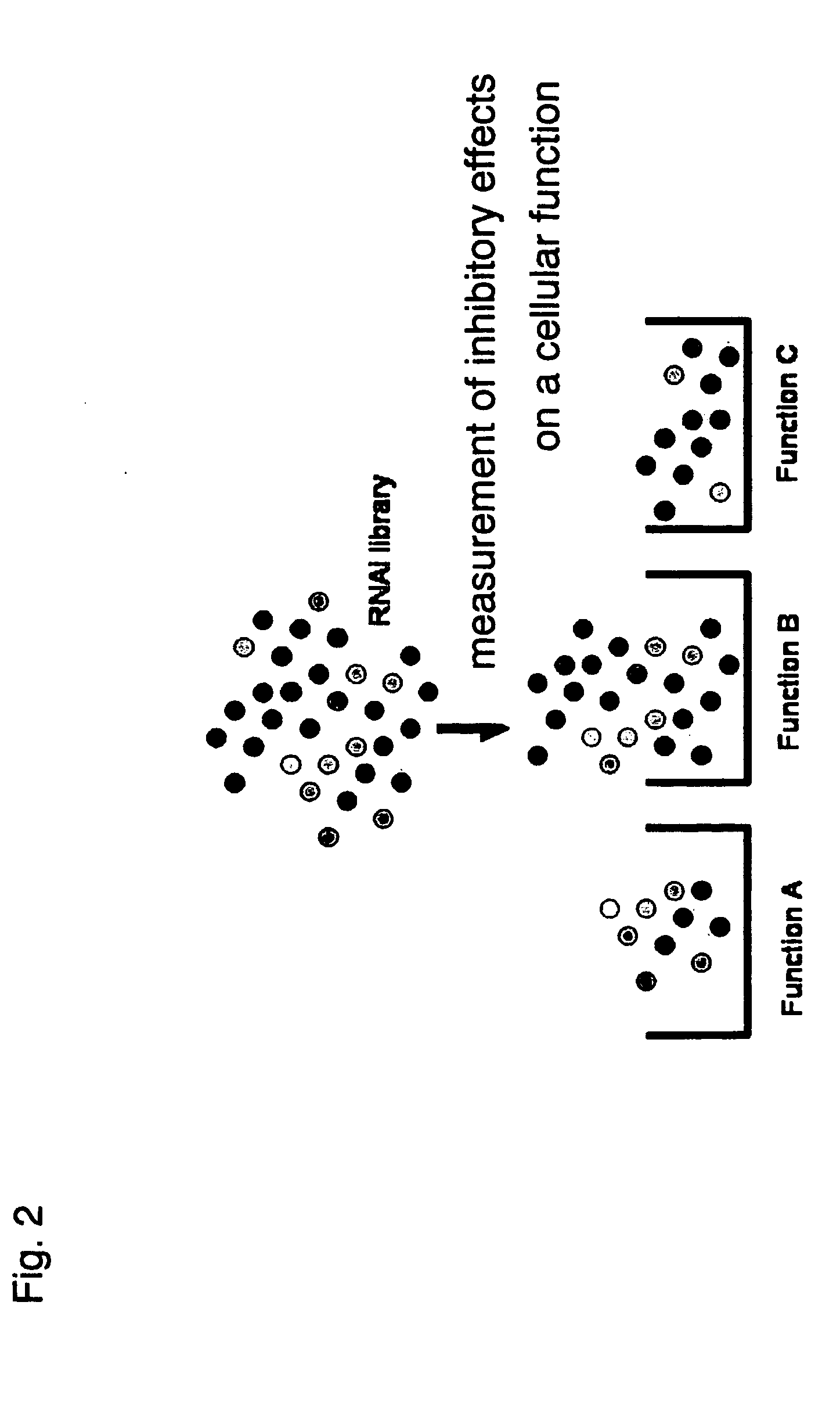 Methods and systems for analyzing a network of biological functions