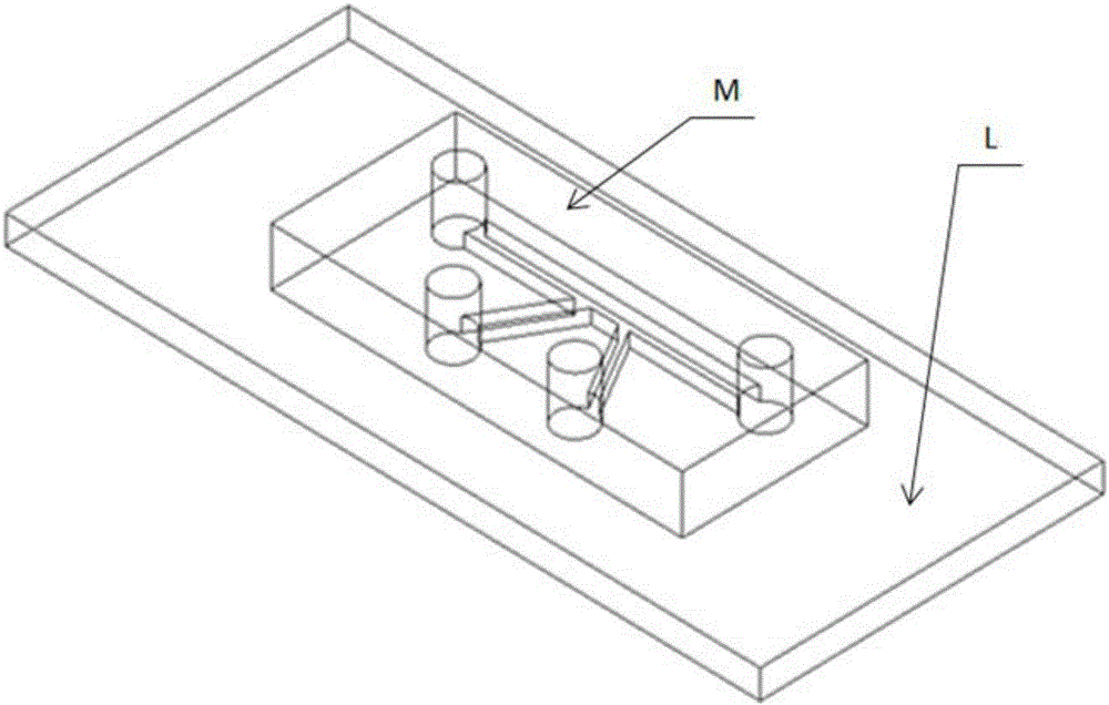 Pulse impedance particle counting device based on non-uniform electric field and particle counting method