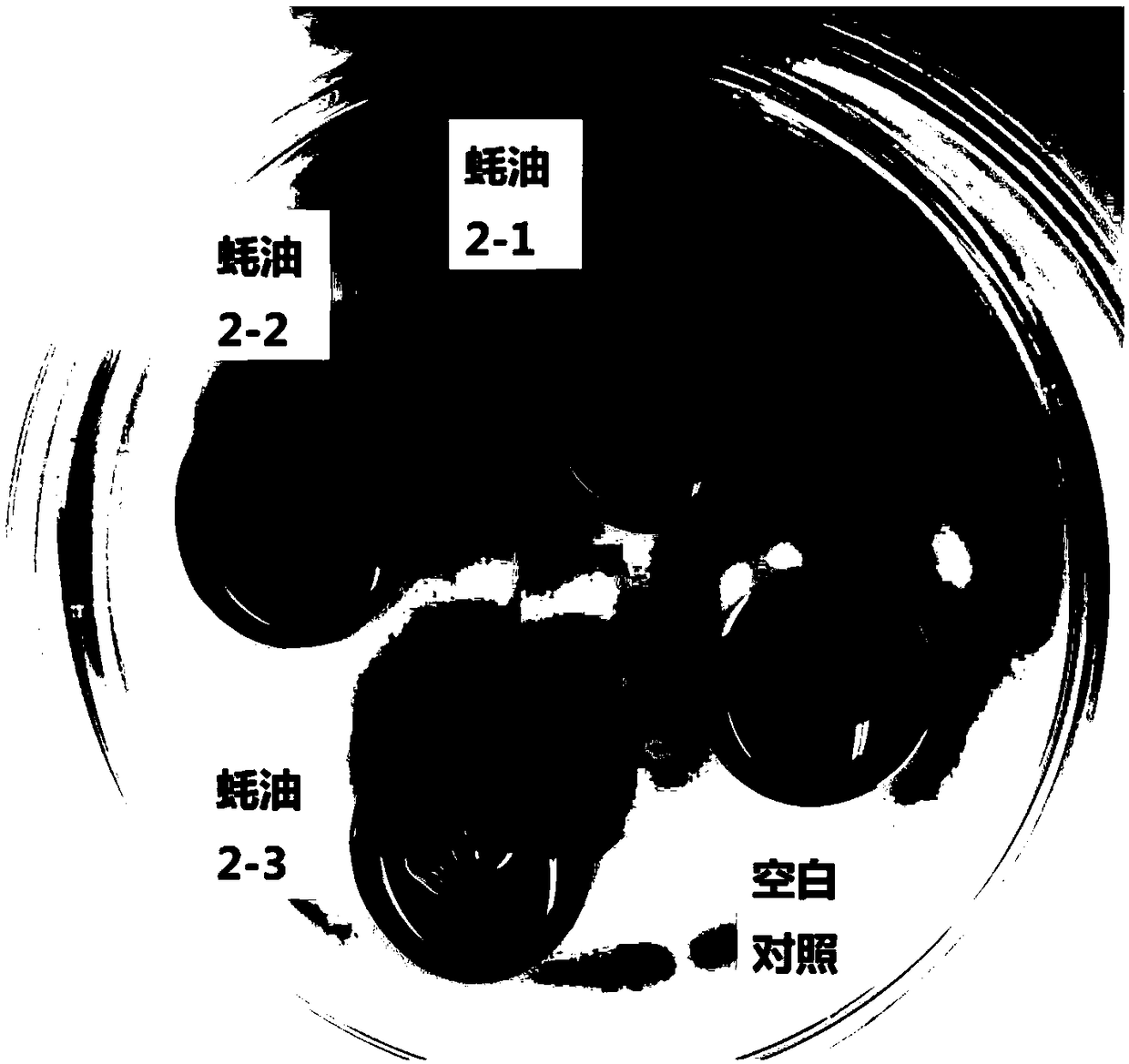 Method for detecting amylase in oyster oil