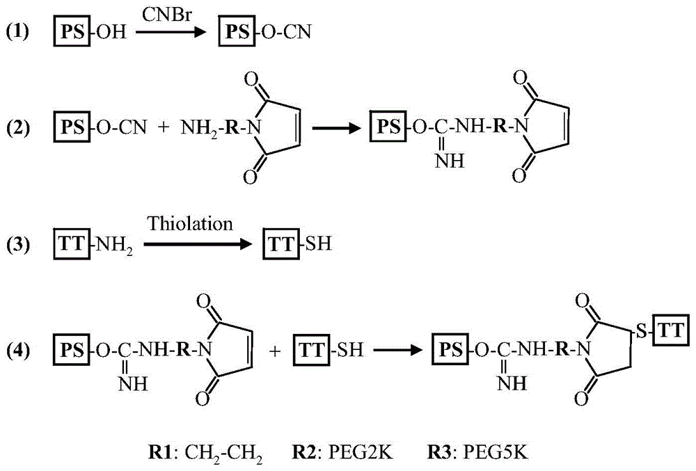 Meningitis polysaccharide conjugate vaccine with heterogenic dual-functional reagent as connecting bridge and preparation method of meningitis polysaccharide conjugate vaccine