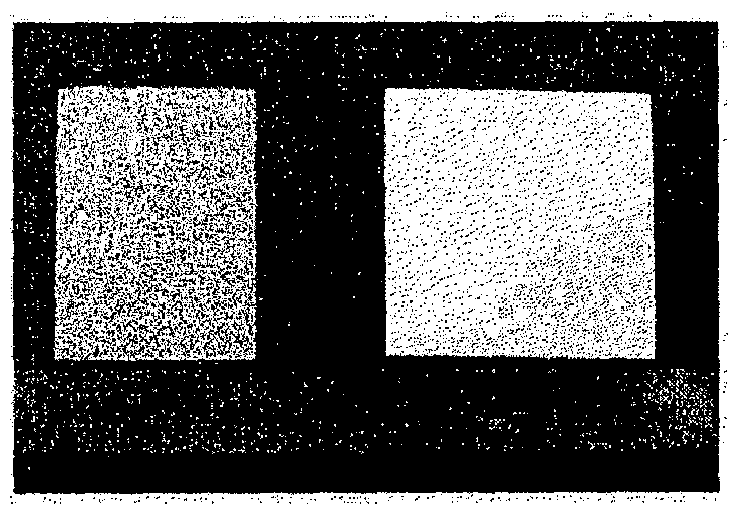 Porous separator coated with organic/inorganic complex using aqueous coating solution, method for manufacturing same, and electrochemical device using same