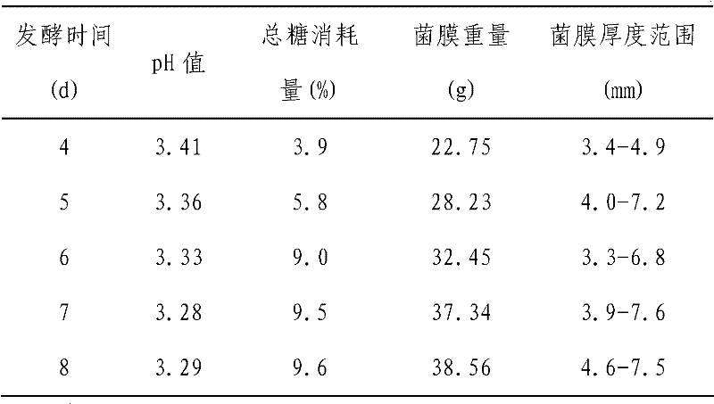 Compound fermented beverage containing red tea fungus and preparation method thereof