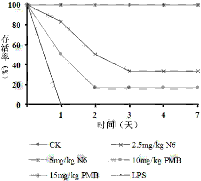 Arenicola cristata antibacterial peptide NZ17074 derived peptide N6 and application thereof