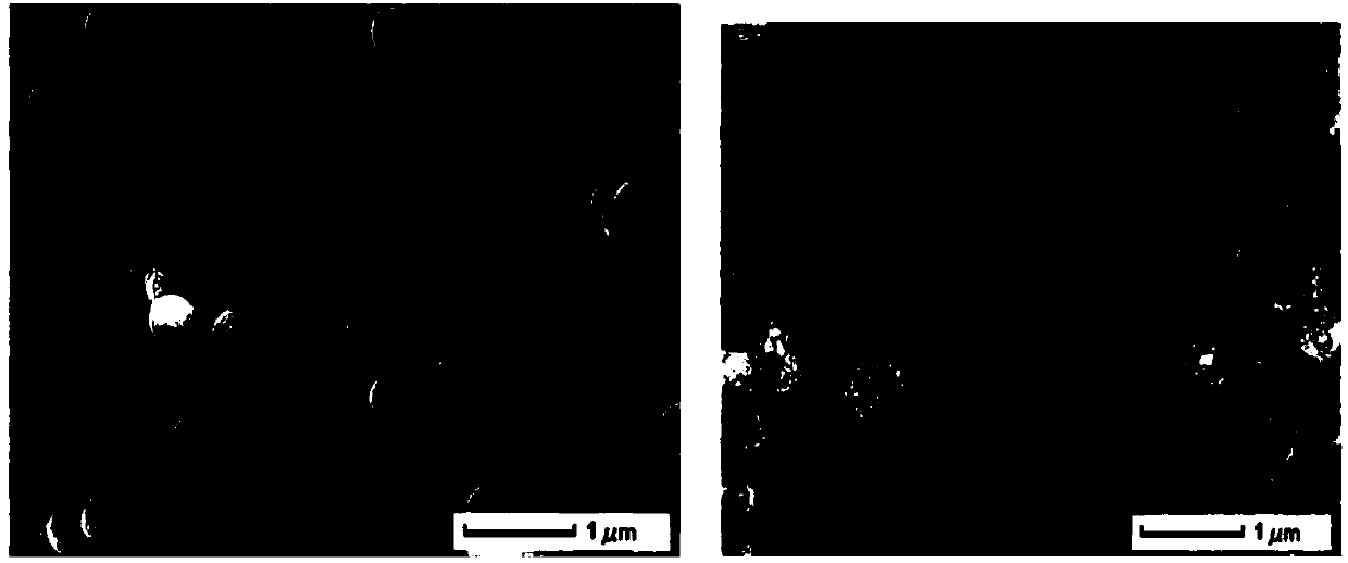 Methyl-p-hydroxy benzoate surface imprinting absorbent as well as preparation method and application thereof