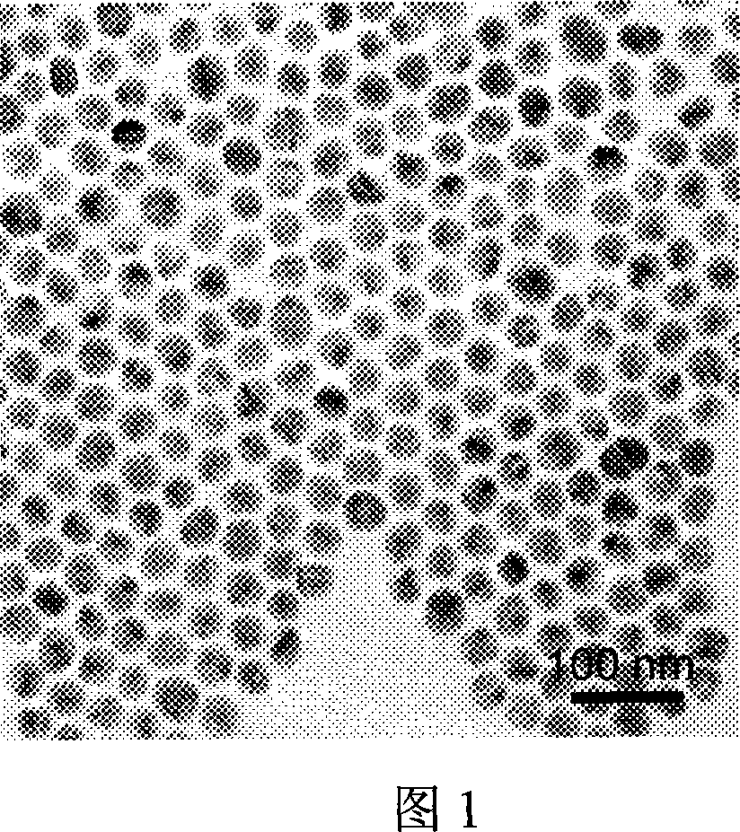 Method for synthesizing arginine-enriched polypeptide-gold nano particle cell transmission carrier