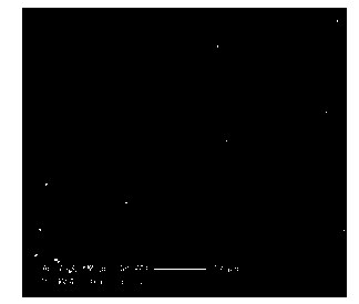 Preparation method of copper-chrome alloy