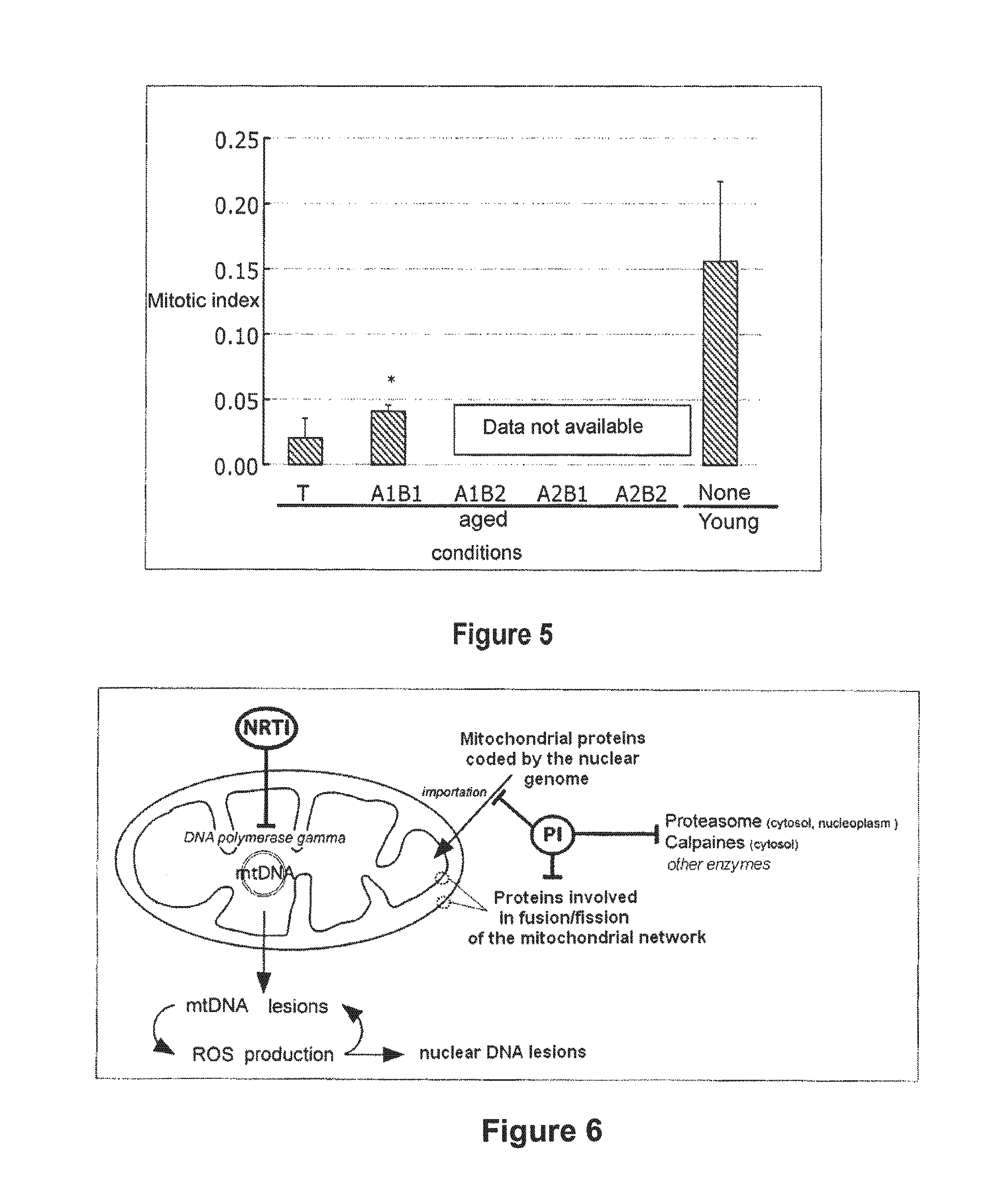 Composition and methods used during Anti-hiv treatment