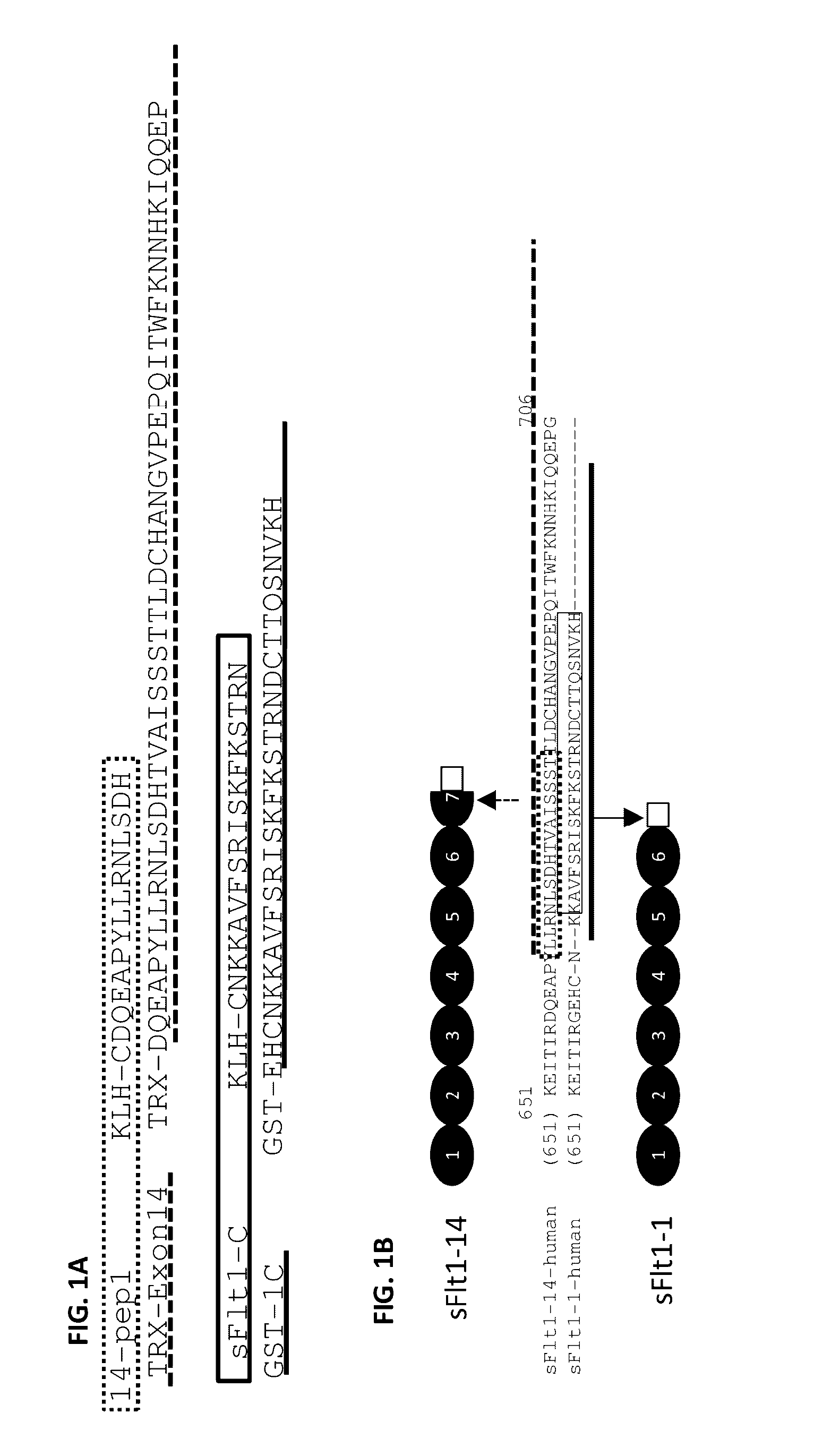 Isoform specific soluble fms-like tyrosine kinase (SFLT) binding agents and uses thereof