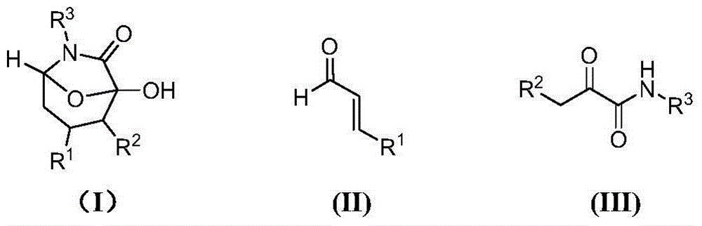 Asymmetric synthesis method of chiral bicyclo-caprolactam compound