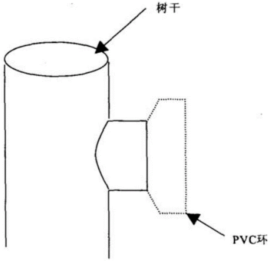 Trunk CO2 flux measurement device and trunk CO2 flux measurement method