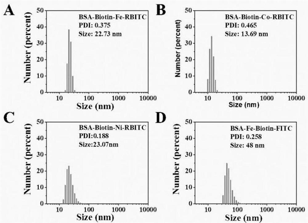 Transition metal oxide nanoprobe, preparation method and application