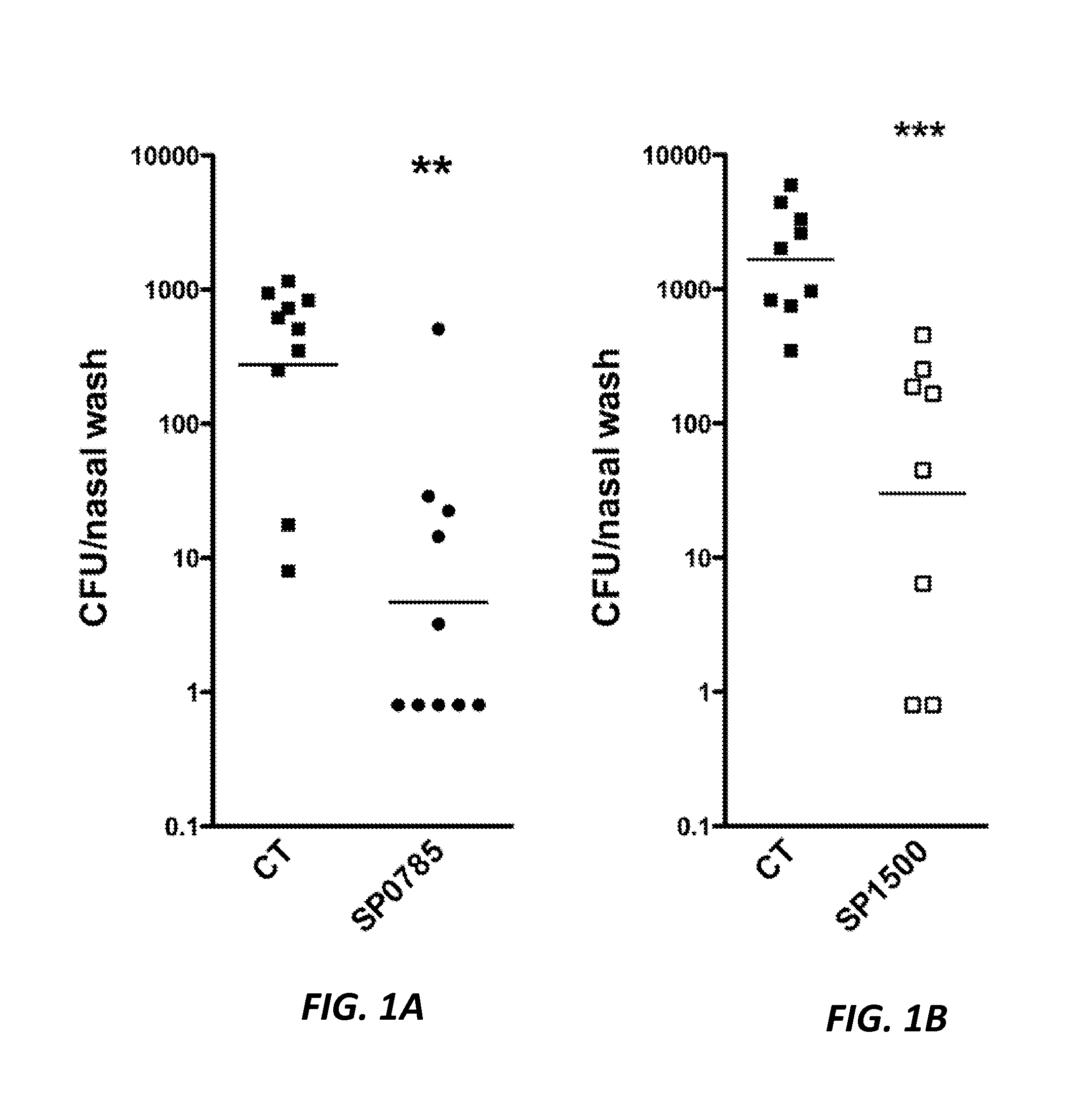 Protein antigens that provide protection against pneumococcal colonization and/or disease