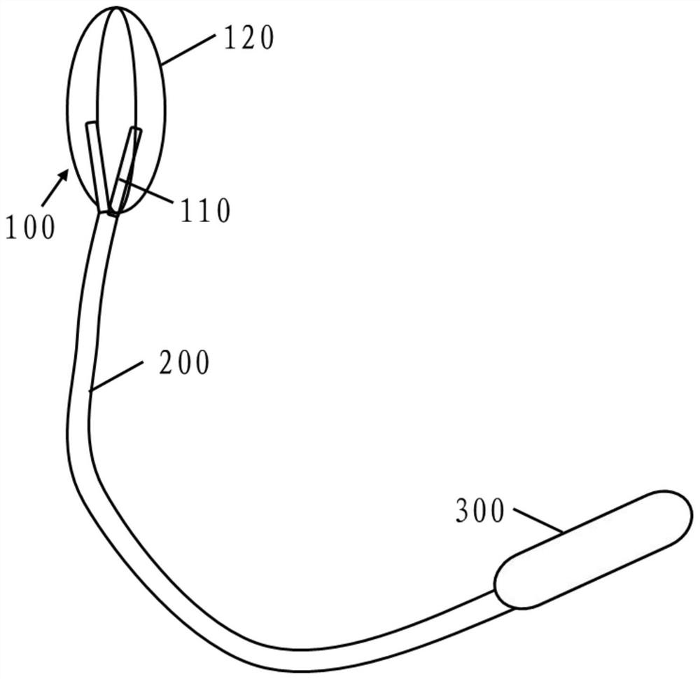 Method for constructing intestinal mucositis animal model