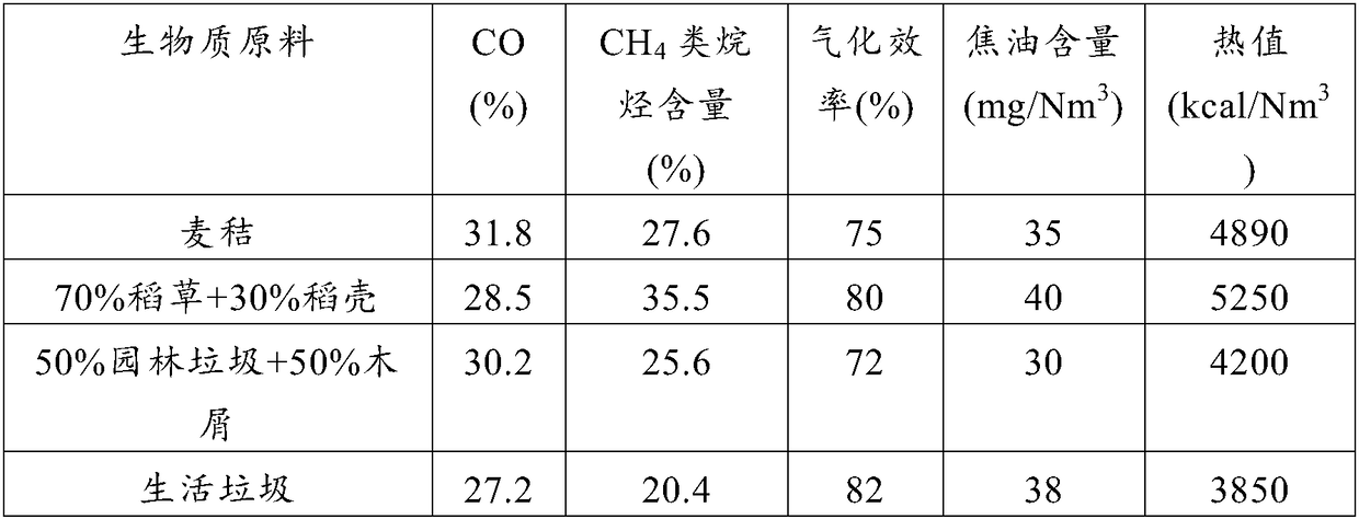 Biomass gasification device and preparation method of biomass synthesis gas