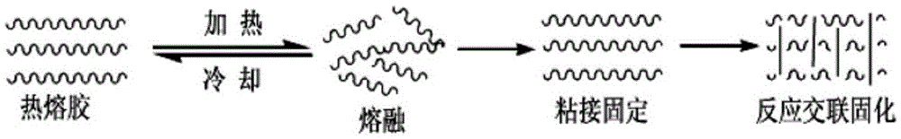 Secondary battery and production method thereof