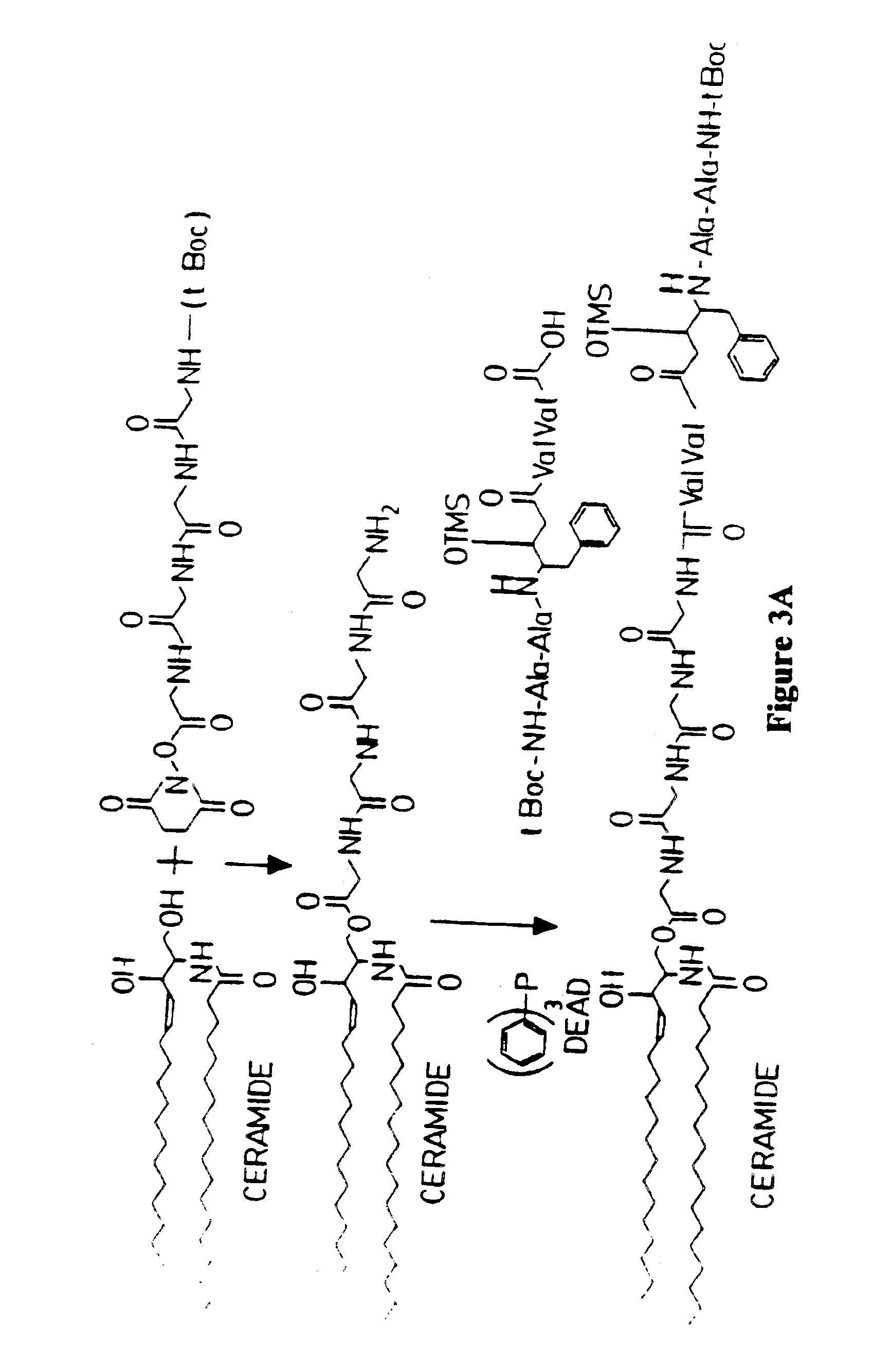 Composition containing porous microparticle impregnated with biologically-active compound for treatment of infection