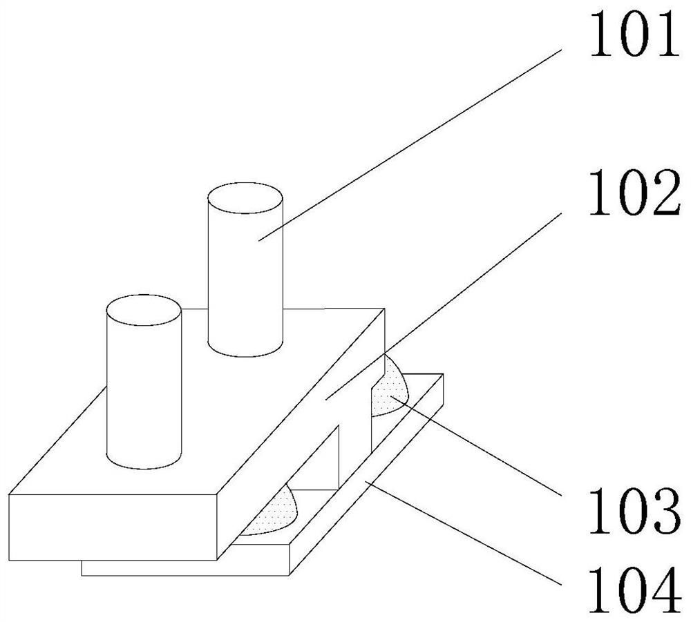 Image enhancement equipment based on animal tissue slice imaging