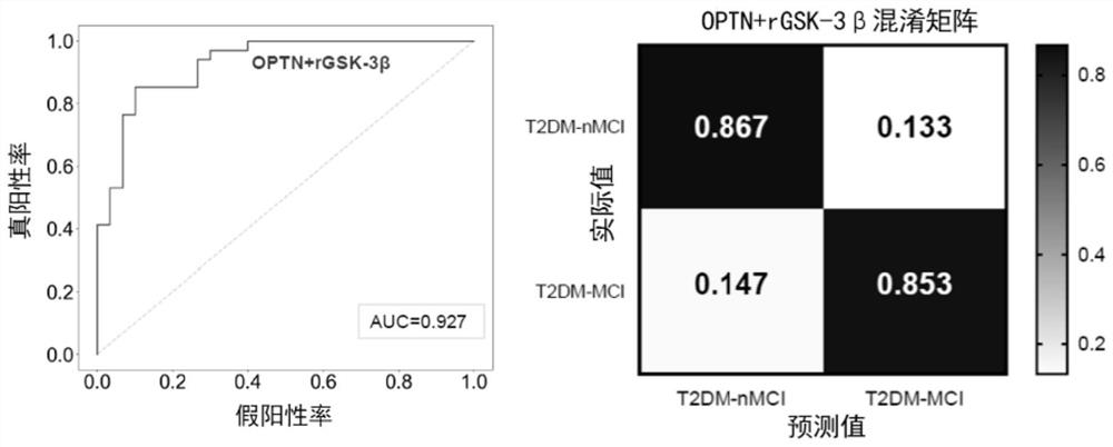 Biomarkers and kits for predicting the risk of MCI in patients with type 2 diabetes and their application