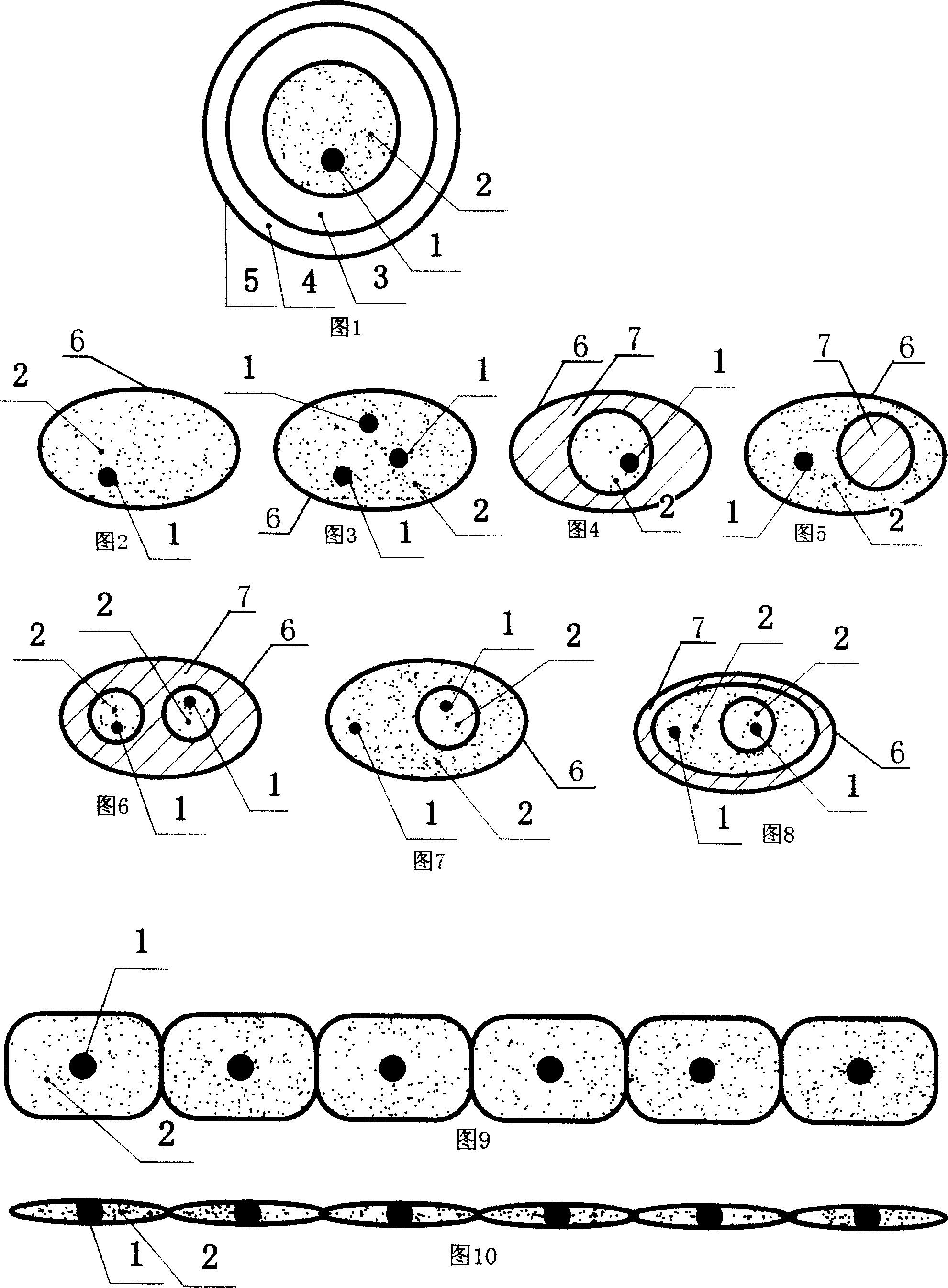 Planting method for raising seedling composite seed with capsule