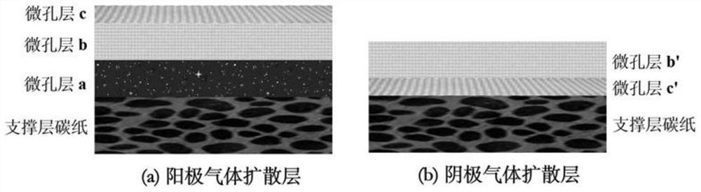 Gas diffusion layer for improving water management capability of fuel cell and preparation method of gas diffusion layer