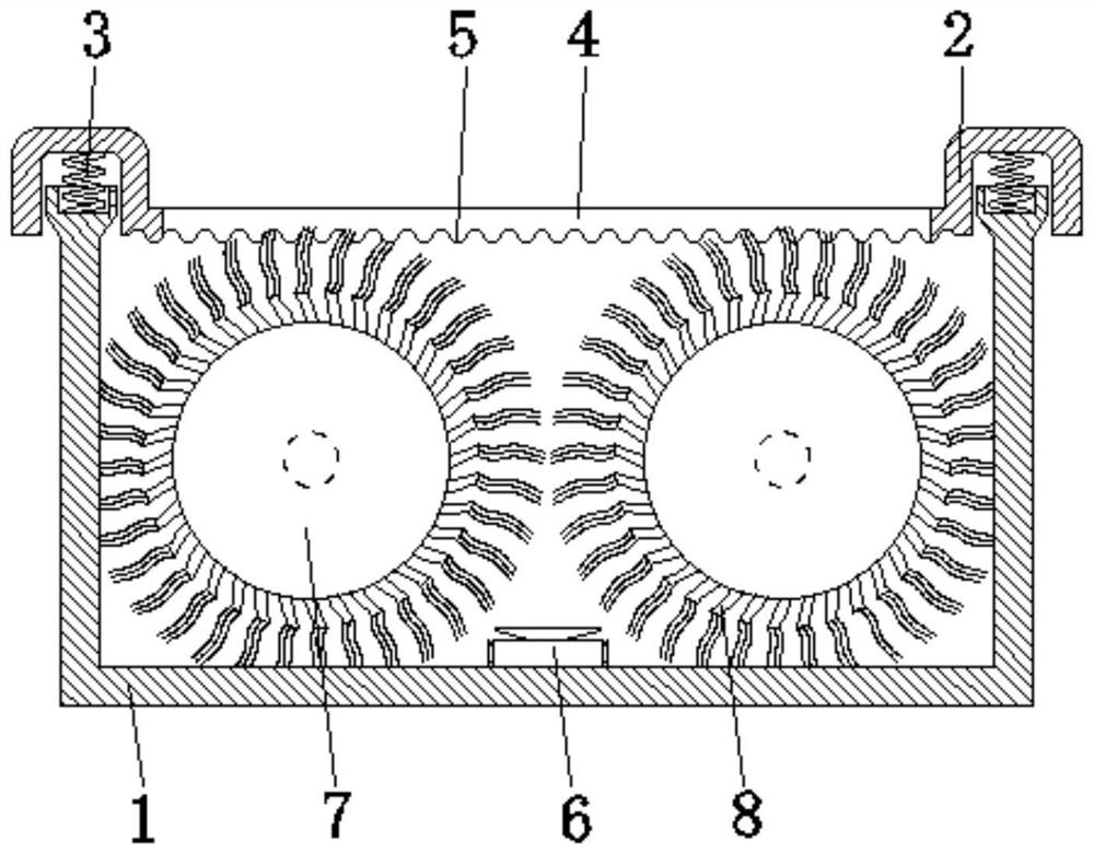 Dust and hair cleaning device