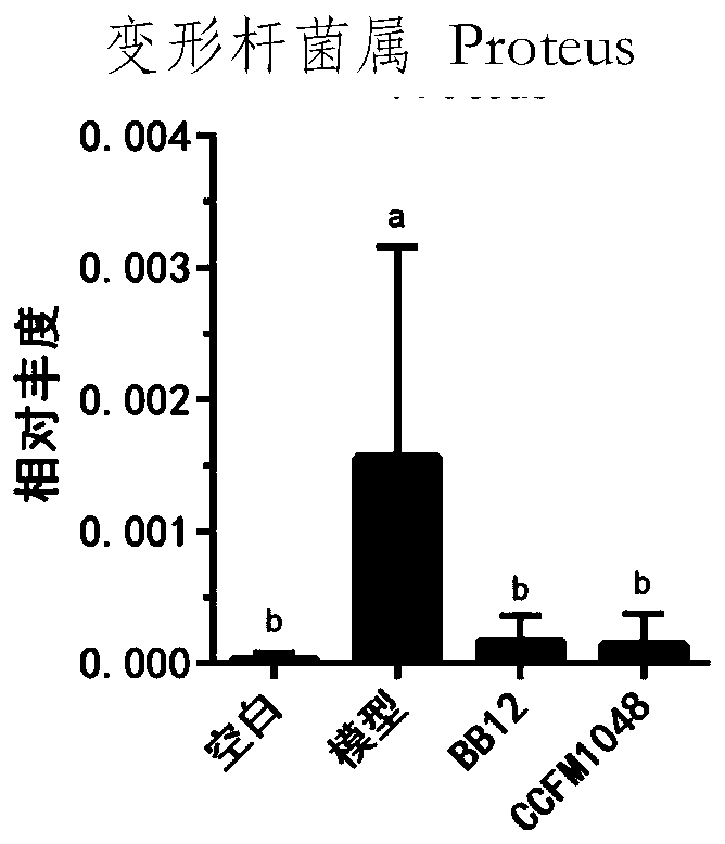 Bifidobacterium pseudocatenulatum CCFM1048, composition, fermented food, application and bacterial agent of bifidobacterium pseudocatenulatum CCFM1048 and preparation method of bacterial agent of bifidobacterium pseudocatenulatum CCFM1048