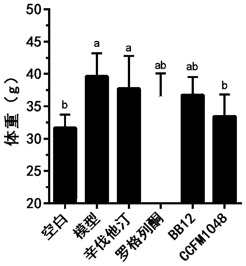 Bifidobacterium pseudocatenulatum CCFM1048, composition, fermented food, application and bacterial agent of bifidobacterium pseudocatenulatum CCFM1048 and preparation method of bacterial agent of bifidobacterium pseudocatenulatum CCFM1048