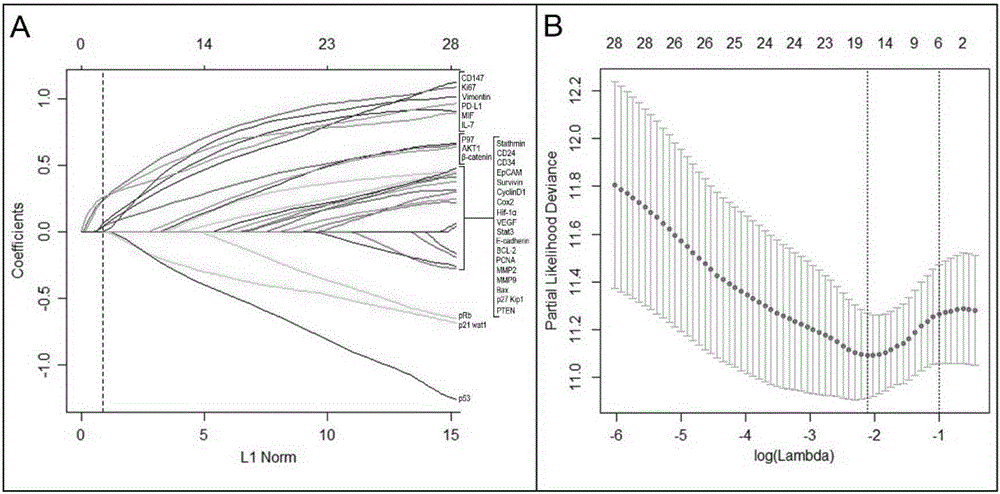 Combined diagnosis marker for predicting small hepatocellular carcinoma relapse