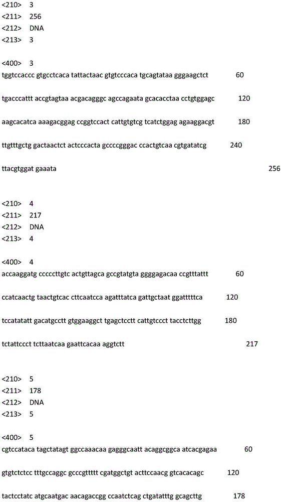 SNP markers for the identification of Chinese and Japanese populations of a wrinkled pan abalone