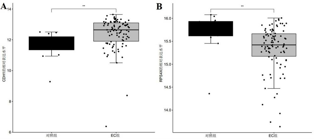 Endometrial cancer-related marker molecules and their application in the diagnosis of endometrial cancer