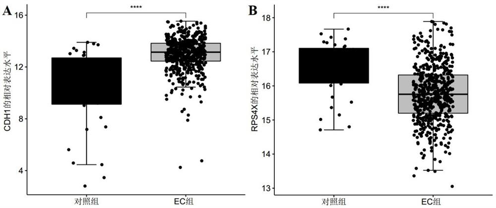 Endometrial cancer-related marker molecules and their application in the diagnosis of endometrial cancer