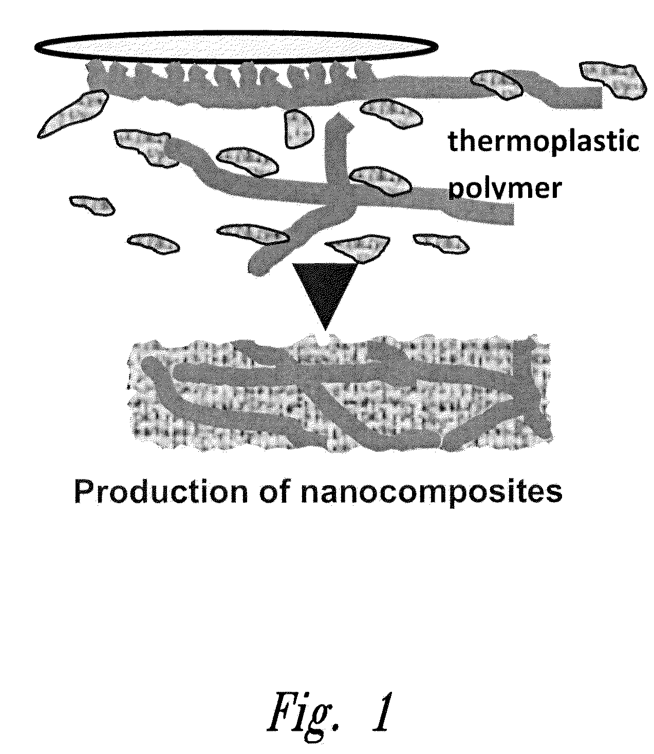 Method of in situ bioproduction and composition of bacterial cellulose nanocomposites