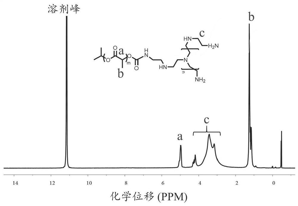 Vaccine vector as well as preparation method and application thereof