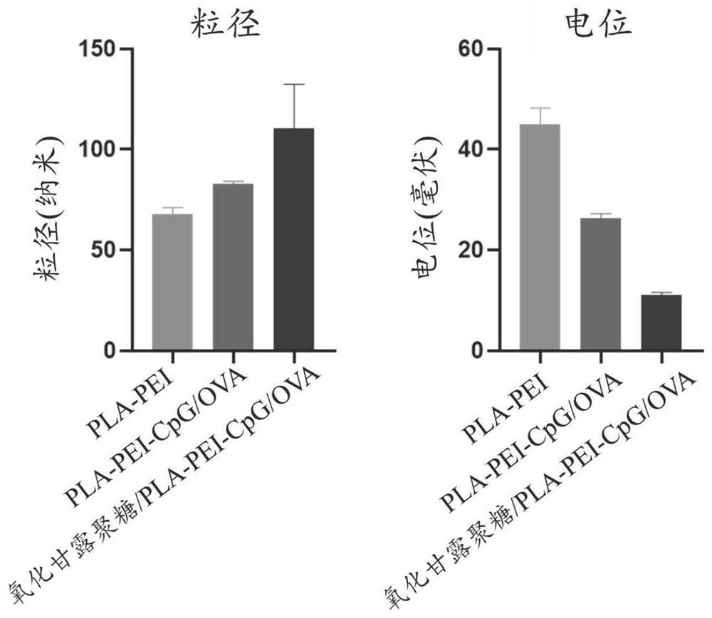 Vaccine vector as well as preparation method and application thereof